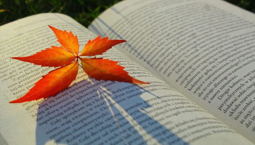 książka z jesiennym liściem