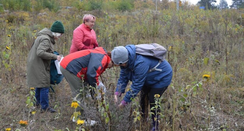 Zdjęcie poglądowe Zdjęcie poglądowe