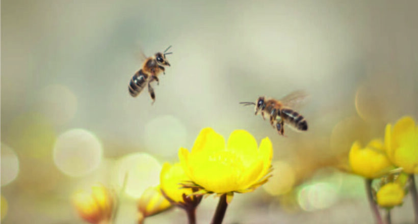 okładka 176. numeru Gazety Wasilkowskiej