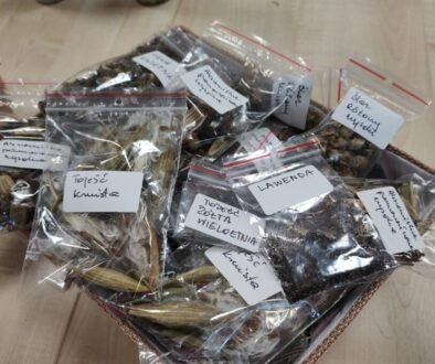 7646ad50-9a86-4a44-89c0-fe8ad21700a3