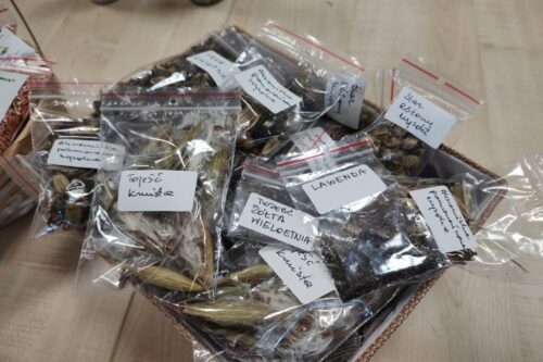 7646ad50-9a86-4a44-89c0-fe8ad21700a3