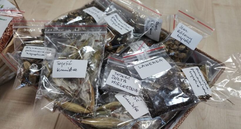 7646ad50-9a86-4a44-89c0-fe8ad21700a3