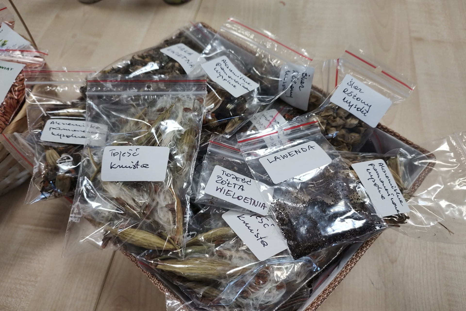 7646ad50-9a86-4a44-89c0-fe8ad21700a3